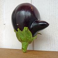 Vegetable Eggplant