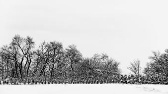 Snow Black And White Winter