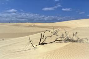 Dunes Sand Sun