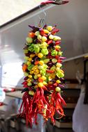 hot pepper in a pigtail