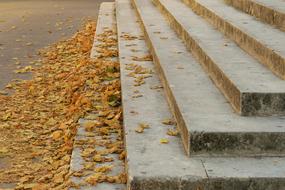 yellow leaves on the stairs