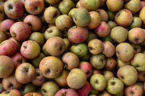Apples Fruit Food Autumn