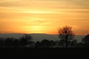 Nature Sun Sky