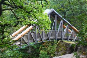 Bridge Nature Wood