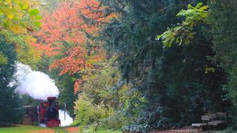 Autumn Steam Locomotive Railway