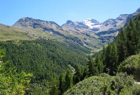 Alpine Switzerland Summer