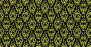 apophysis fractal pattern drawing