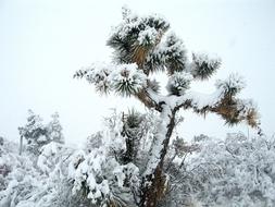 Landscape Scenic Winter