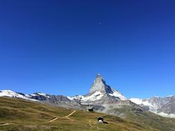 Alpine Switzerland Nature