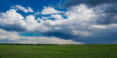 Nature Horizon Landscape