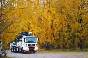 Pump Concrete Machine yellow tree
