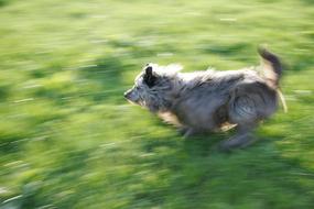 Speed Out Of Focus
