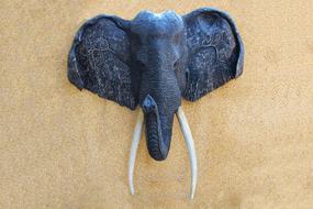 Shiny, black elephant head with the tusks, on the yellow wall