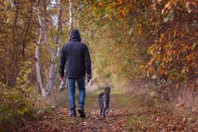 Autumn Walk Fall