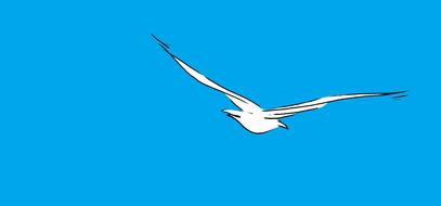 drawn soaring seagull