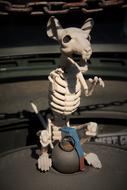 rat skeleton toy