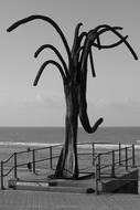 Monument in Oostende