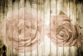 roses on wood drawing