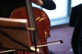 cello in the hands of a musician
