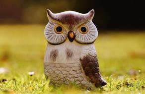 Funny Owl, garden decoration