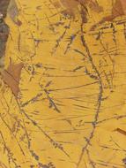 yellow background with scratches