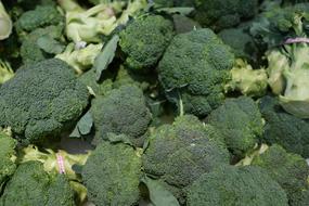 Tasty healthy broccoli