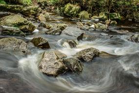 River Bach Water