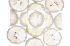 Lemon Fresh Food