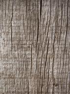 Beautiful wooden texture of the table
