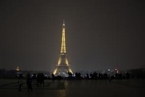 Paris Night Eiffel