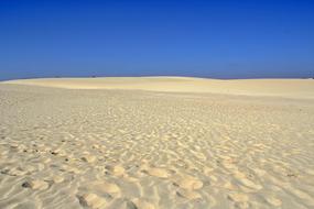 Sand Dunes in summer
