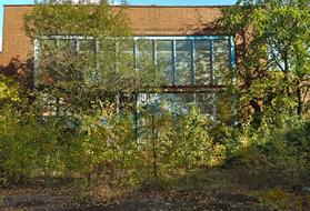 Old, factory building, among the beautiful and colorful plants, in light and shadows