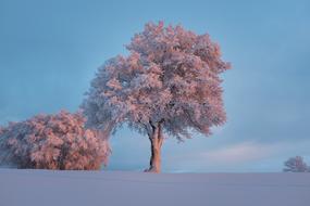 Landscape Nature Sky