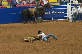 Rodeo Steer Wrestling