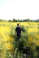 Boy walking away through Field