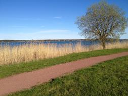 Nature Path Landscape Aland