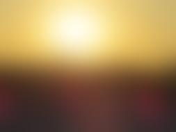yellow and black gradient background