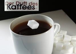 Sweet sugar cubes and coffee