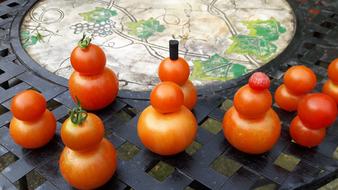 funny tomatoes