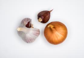 garlic and onions on white background