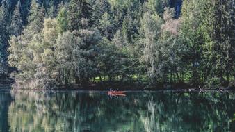 Boat in Lake at Nature