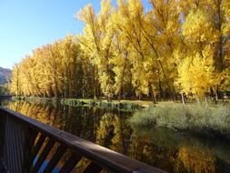 Landscape Soria Spain