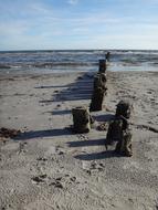 piles on Beach Sea Baltic