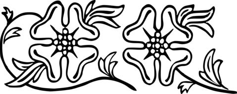 decoration pattern design flowers drawing