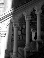 cat on the stairs in the shade