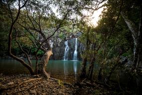 Water Waterfall Tree