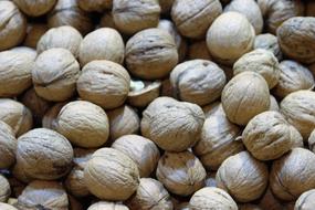 large nuts are delicious