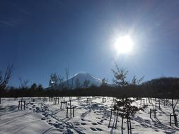 Snow Winter Countryside