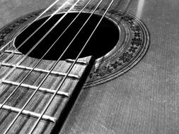 Musical Instrument Loop