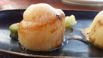 Singapore Scallops Food